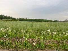 -上海都市菜园