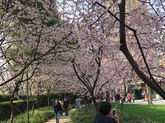 景点-静安雕塑公园