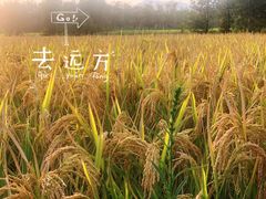 -航空小镇温泉