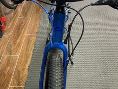 -道路口单车爱瓦士dahon大行