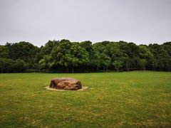 -昆山城市生态森林公园