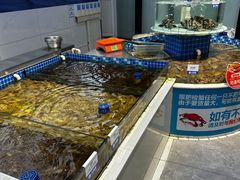 -大锅强·蒸海鲜青岛菜(吾悦广场店)