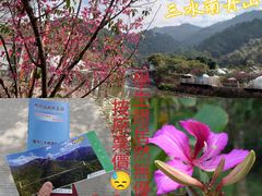 -南丹山森林王国