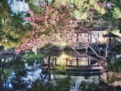 -复旦大学附属华山医院(总院)