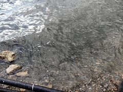 -青海湖二郎剑景区