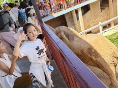 -西霞口神雕山野生动物世界