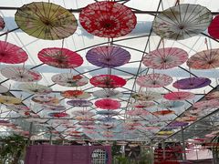 -广东花都香草世界旅游度假区