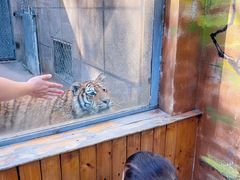 -西安秦岭野生动物园