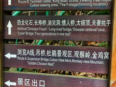 -云南屏边大围山国家公园