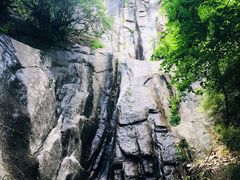 -王顺山国家森林公园