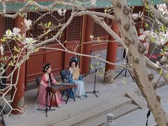 -潭柘寺景区