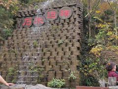 -千年银杏谷文化旅游区