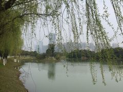 -艾溪湖湿地公园