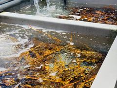 -万龙洲海鲜(南新仓店)