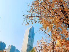 -重庆市江北嘴中央商务区中央公园