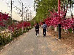 -渭南桃花源民俗文化园