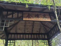 -云南屏边大围山国家公园
