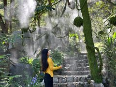 -沂蒙山旅游区云蒙景区(蒙山国家森林公园)