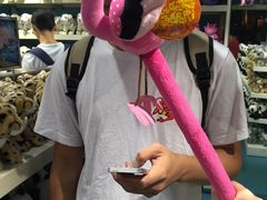 纪念品-广州长隆水上乐园
