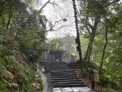 -南山植物园