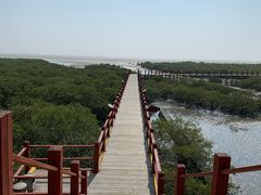 -北海金海湾红树林生态旅游区