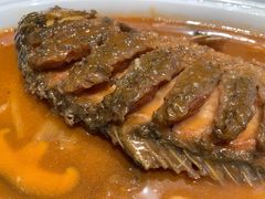 -阿五黄河大鲤鱼(纬三路店)