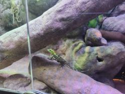 -酷嗒动物文化乐园(cutezoo西溪乐天城店)