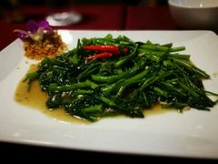 -Daddy Nimman Chiang Mai