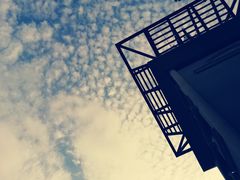 -银湖山郊野公园-相思林