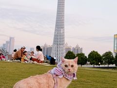 -二沙岛艺术公园