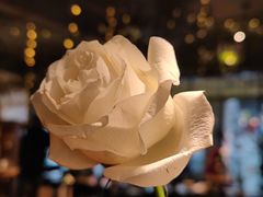 -岛风·台食小馆 ISLAND BISTRO(烟台山店)