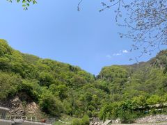 -牛背梁国家森林公园