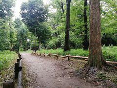 -三鹰之森吉卜力美术馆