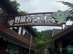 -野象谷景区