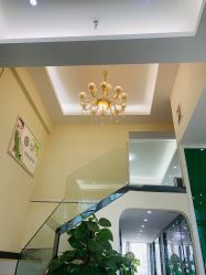 -苗医生草本科技祛痘