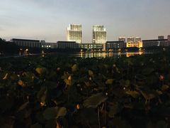 -尚贤河湿地