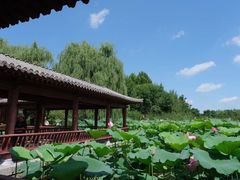 -云居湖