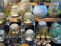 -沈阳百联购物中心(青年大街店)