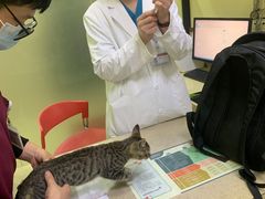 -艾贝尔宠物诊疗