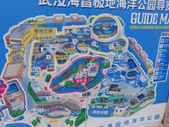 -海合安武汉极地海洋公园