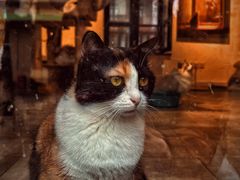 -上街里市集(悦喜客来广场店)