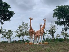 -季高兔窝窝亲子园(上海薰衣草公园店)