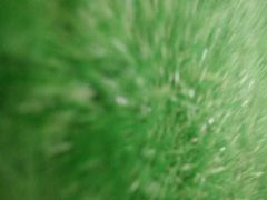 -马来西亚建筑博物馆