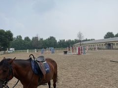 -北京群众马术培训基地