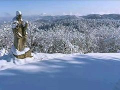 -武陵山森林公园