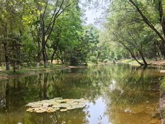 -长白岛森林公园