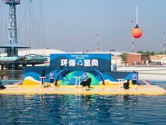 -秦皇岛乐岛海洋王国