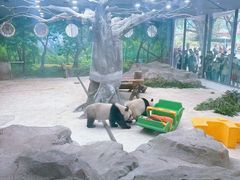 景点-重庆动物园