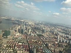 -上海柏悦酒店·世纪100牛排馆