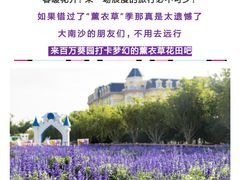 -百万葵园